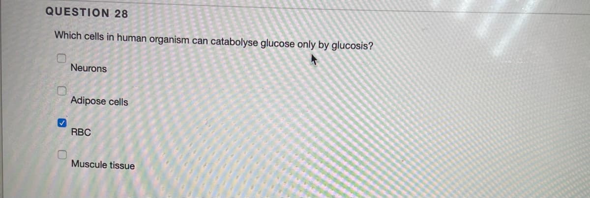 QUESTION 28
Which cells in human organism can catabolyse glucose only by glucosis?
0
✓
Neurons
Adipose cells
RBC
Muscule tissue