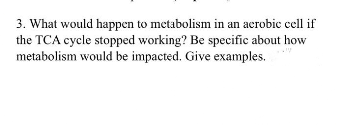 3. What would happen to metabolism in an aerobic cell if
the TCA cycle stopped working? Be specific about how
metabolism would be impacted. Give examples.