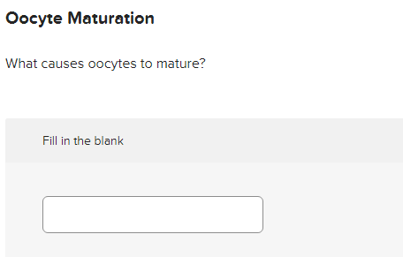 Oocyte Maturation
What causes oocytes to mature?
Fill in the blank
