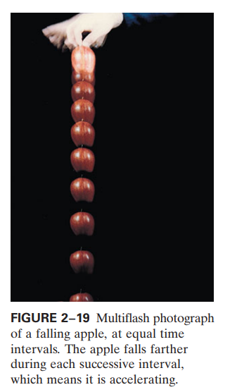 FIGURE 2–19 Multiflash photograph
of a falling apple, at equal time
intervals. The apple falls farther
during each successive interval,
which means it is accelerating.
