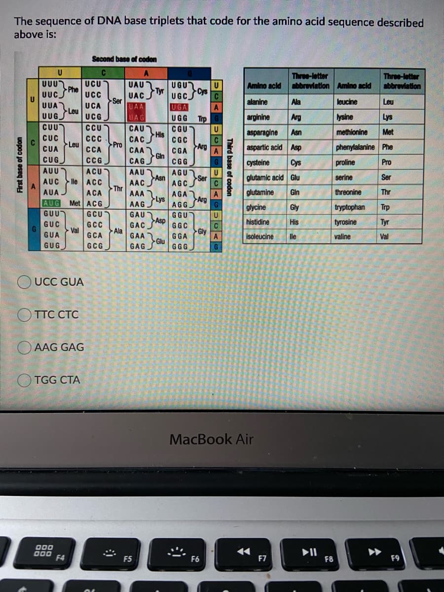 The sequence of DNA base triplets that code for the amino acid sequence described
above is:
Second base of codon
UUU
UUCS
Three-lettor
abbreviation Amino acid
Three-letter
abbreviation
UCU
Amino acld
UAU
UAC S
UGU
Phe
Tyr
Cys
U
UUA
UUG
UCC
Ser
UCA
Leu
UGC.
UGA
alanine
Ala
leucine
Leu
UAA
UG
arginine
Arg
lysine
Lys
UAG
UGG
Trp
CUU
CAU
His
CACJ
CCU
CGU
U
asparagine
aspartic acid Asp
Asn
methionine
Met
CUC
CC
Pro
CGC
Arg
Leu
CUA
CCA
phenylalanine Phe
CAA
Gin
CGA
A
CUG
CG
CAG
CGG
cysteine
Cys
proline
Pro
AUU
ACU
AAU
AGU
U
Asn
Ser
glutamic acid Glu
serine
Ser
AUC lle ACC
A
AAC
AGCJ
Thr
AUA
ACA
AAA
AGA
A
glutamine
Gin
threonine
Thr
AUG
Lys
Arg
Met ACG
GCU
AAG J
AGG
glycine
Gly
tryptophan
Trp
GUU
GAU
GGU
Asp
histidine
His
tyrosine
Tyr
GUC
GCC
Val
GCA
GAC
GGC
Gly
GGA
A
Ala
GUA
GAA
isoleucine
lle
valine
Val
GAG Glu
GGG
GUG
GCG
UCC GUA
O TTC CTC
O AAG GAG
O TGG CTA
MacBook Air
פםם
00
F4
F5
F6
F7
F8
F9
Third base of codon
呈 品
复 多|
First base of codon
