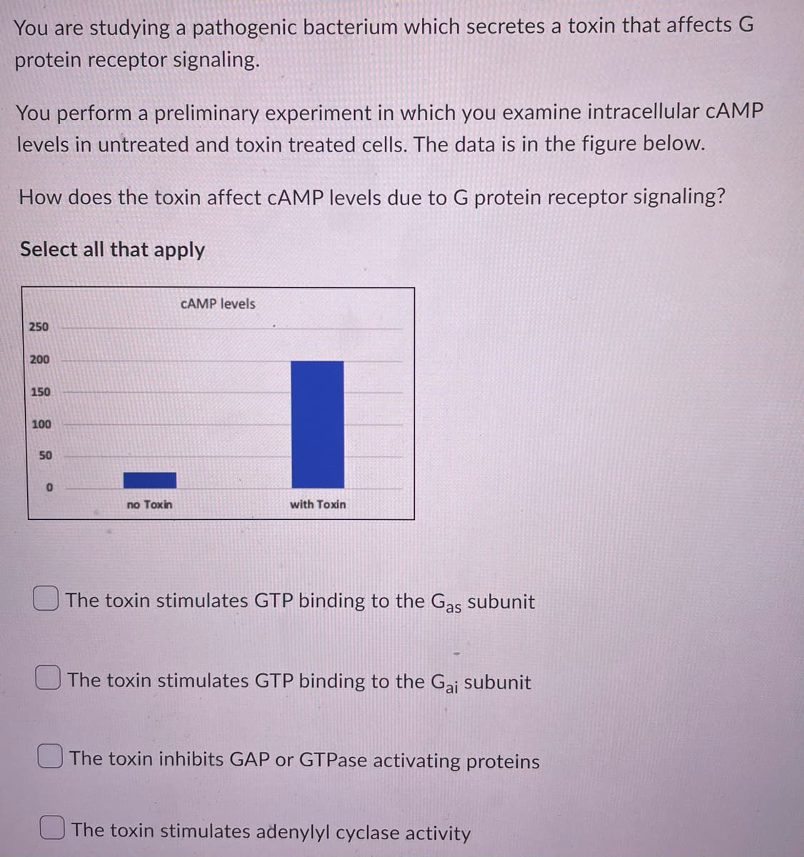 You are studying a pathogenic bacterium which secretes a toxin that affects G
protein receptor signaling.
You perform a preliminary experiment in which you examine intracellular CAMP
levels in untreated and toxin treated cells. The data is in the figure below.
How does the toxin affect CAMP levels due to G protein receptor signaling?
Select all that apply
CAMP levels
250
200
150
100
50
0
no Toxin
with Toxin
The toxin stimulates GTP binding to the Gas subunit
The toxin stimulates GTP binding to the Gai subunit
The toxin inhibits GAP or GTPase activating proteins
The toxin stimulates adenylyl cyclase activity