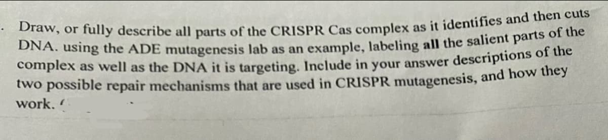 . Draw, or fully describe all parts of the CRISPR Cas complex as it identifies and then cuts
DNA. using the ADE mutagenesis lab as an example, labeling all the salient parts of the
complex as well as the DNA it is targeting. Include in your answer descriptions of the
two possible repair mechanisms that are used in CRISPR mutagenesis, and how they
work.