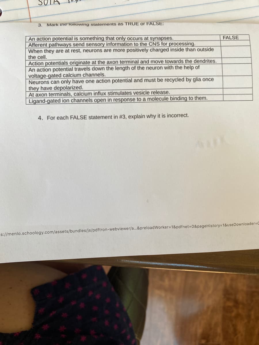 SO
3.
Mark the rollowing statements as TRUE or FALSE:
An action potential is something that only occurs at synapses.
Afferent pathways send sensory information to the CNS for processing.
When they are at rest, neurons are more positively charged inside than outside
the cell.
FALSE
Action potentials originate at the axon terminal and move towards the dendrites.
An action potential travels down the length of the neuron with the help of
voltage-gated calcium channels.
Neurons can only have one action potential and must be recycled by glia once
they have depolarized.
At axon terminals, calcium influx stimulates vesicle release.
Ligand-gated ion channels open in response to a molecule binding to them.
4. For each FALSE statement in #3, explain why it is incorrect.
s://menlo.schoology.com/assets/bundles/js/pdftron-webviewer/a...&preloadWorker=1&pdfnet%3D0&pageHistory=1&useDownloader=C
