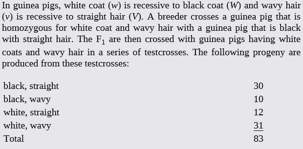 In guinea pigs, white coat (w) is recessive to black coat (W) and wavy hair
(v) is recessive to straight hair (V). A breeder crosses a guinea pig that is
homozygous for white coat and wavy hair with a guinea pig that is black
with straight hair. The F, are then crossed with guinea pigs having white
coats and wavy hair in a series of testcrosses. The following progeny are
produced from these testcrosses:
black, straight
black, wavy
30
10
white, straight
12
white, wavy
31
Total
83
