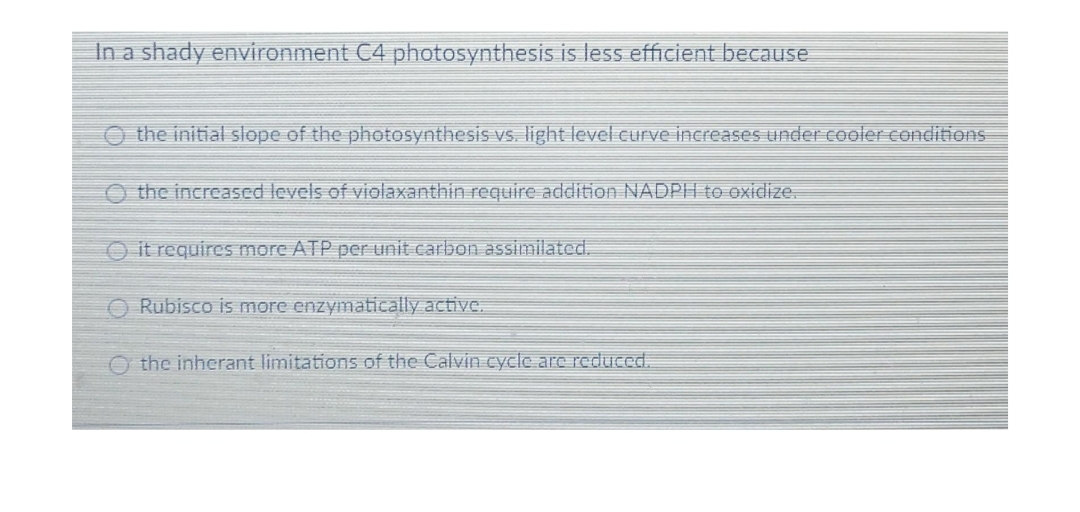 In a shady environment C4 photosynthesis is less efficient because
the initial slope of the photosynthesis vs. light level curve increases under cooler conditions
O the increased levels of violaxanthin require addition NADPH to oxidize.
O it requires more ATP per unit carbon assimilated.
O Rubisco is more enzymatically active.
O the inherant limitations of the Calvin cycle are reduced.
