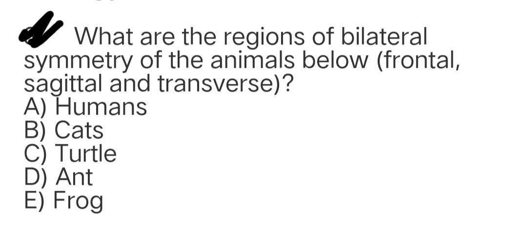 What are the regions of bilateral
symmetry of the animals below (frontal,
sagittal and transverse)?
A) Humans
B) Cats
C) Turtle
D) Ant
E) Frog
