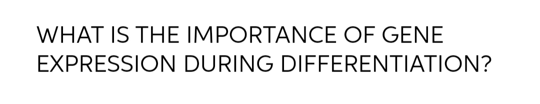 WHAT IS THE IMPORTANCE OF GENE
EXPRESSION DURING DIFFERENTIATION?
