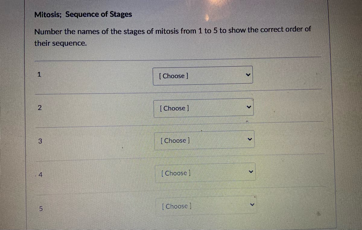 Mitosis; Sequence of Stages
Number the names of the stages of mitosis from 1 to 5 to show the correct order of
their sequence.
[Choose ]
[Choose ]
in
3
[Choose]
4
[Choose]
5.
[Choose]
