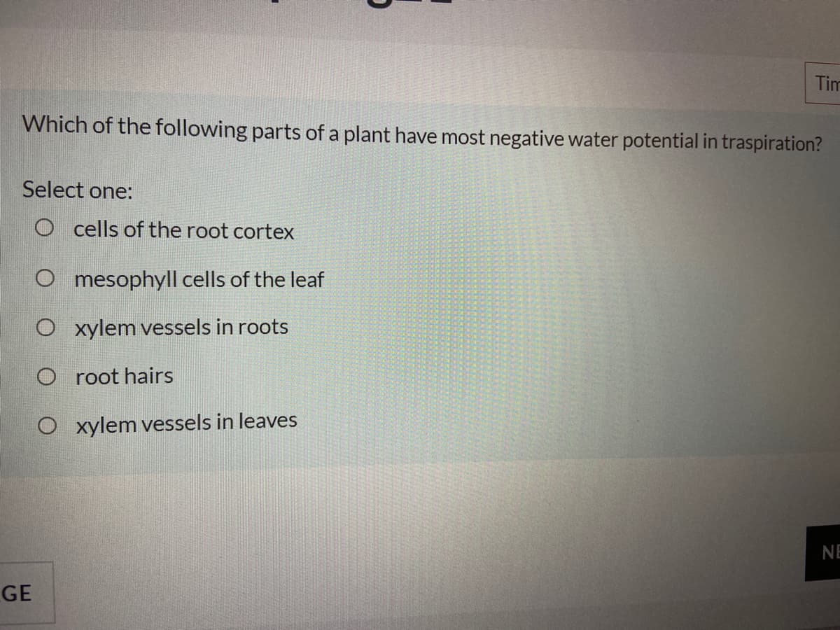 Tim
Which of the following parts of a plant have most negative water potential in traspiration?
Select one:
O cells of the root cortex
O mesophyll cells of the leaf
O xylem vessels in roots
O root hairs
O xylem vessels in leaves
NE
GE

