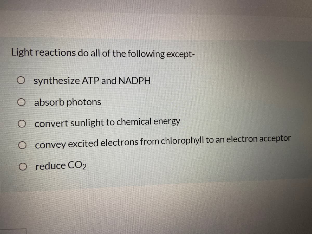 Light reactions do all of the following except-
O synthesize ATP and NADPH
O absorb photons
O convert sunlight to chemical energy
O convey excited electrons from chlorophyll to an electron acceptor
O reduce CO2
