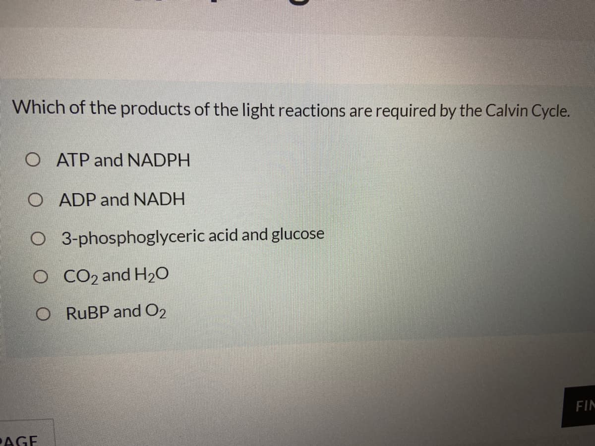 Which of the products of the light reactions are required by the Calvin Cycle.
O ATP and NADPH
O ADP and NADH
O 3-phosphoglyceric acid and glucose
O CO2 and H20
O RUBP and O2
FIN
AGE
