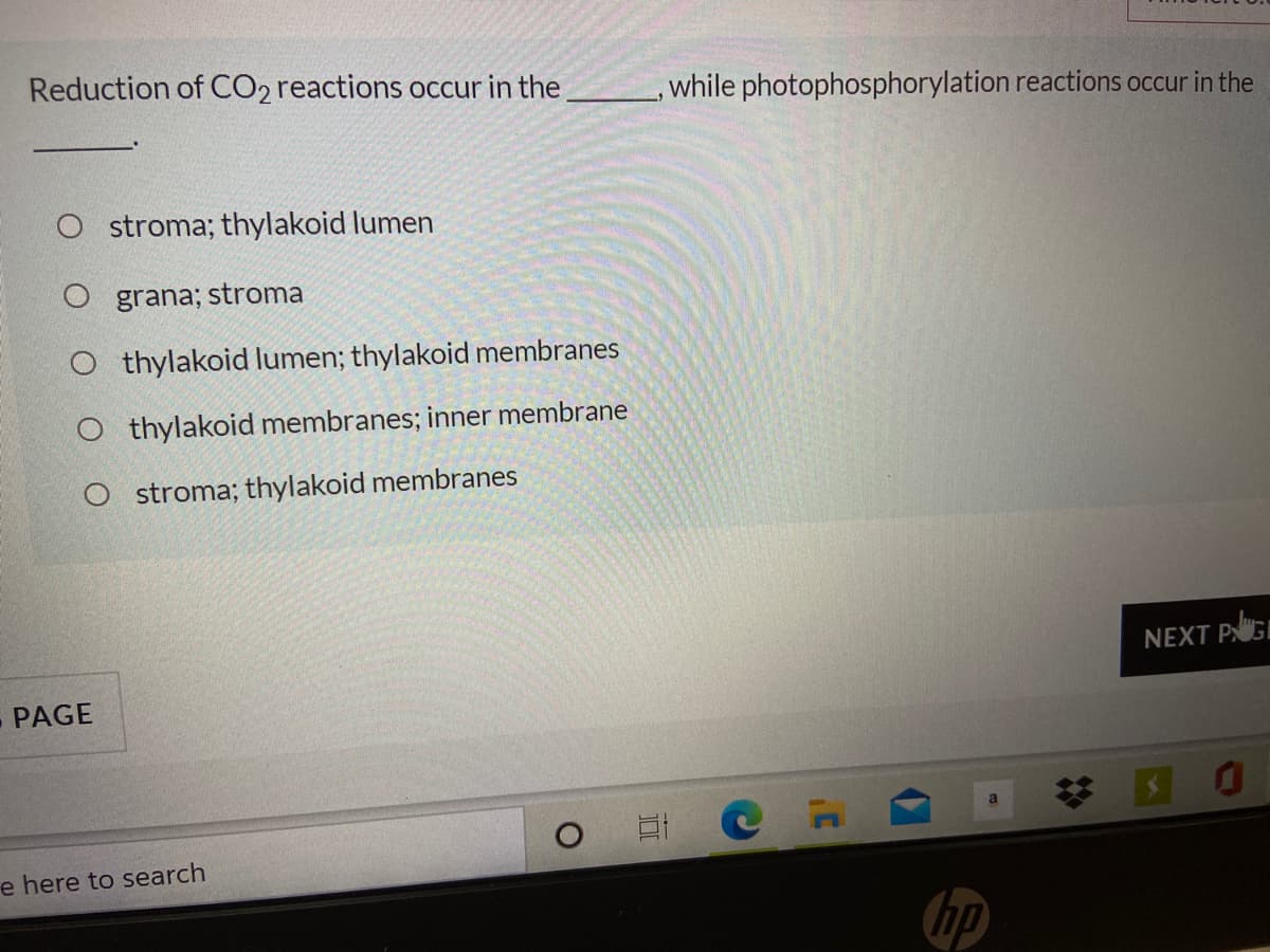 Reduction of CO2 reactions occur in the
,while photophosphorylation reactions occur in the
O stroma; thylakoid lumen
O grana; stroma
O thylakoid lumen; thylakoid membranes
O thylakoid membranes; inner membrane
O stroma; thylakoid membranes
NEXT PGI
PAGE
e here to search
hp
