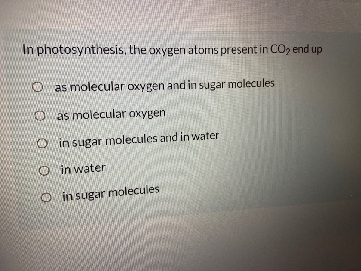 In photosynthesis, the oxygen atoms present in CO2 end up
as molecular oxygen and in sugar molecules
O as molecular oxygen
O in sugar molecules and in water
O in water
O in sugar
molecules
