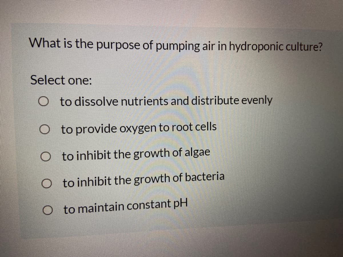 What is the purpose of pumping air in hydroponic culture?
Select one:
O to dissolve nutrients and distribute evenly
O to provide oxygen to root cells
O to inhibit the growth of algae
O to inhibit the growth of bacteria
O to maintain constant pH
