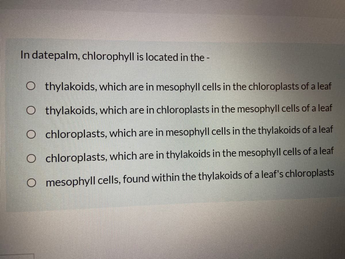 In datepalm, chlorophyll is located in the -
O thylakoids, which are in mesophyll cells in the chloroplasts of a leaf
O thylakoids, which are in chloroplasts in the mesophyll cells of a leaf
O chloroplasts, which are in mesophyll cells in the thylakoids of a leaf
O chloroplasts, which are in thylakoids in the mesophyll cells of a leaf
O mesophyll cells, found within the thylakoids of a leaf's chloroplasts
