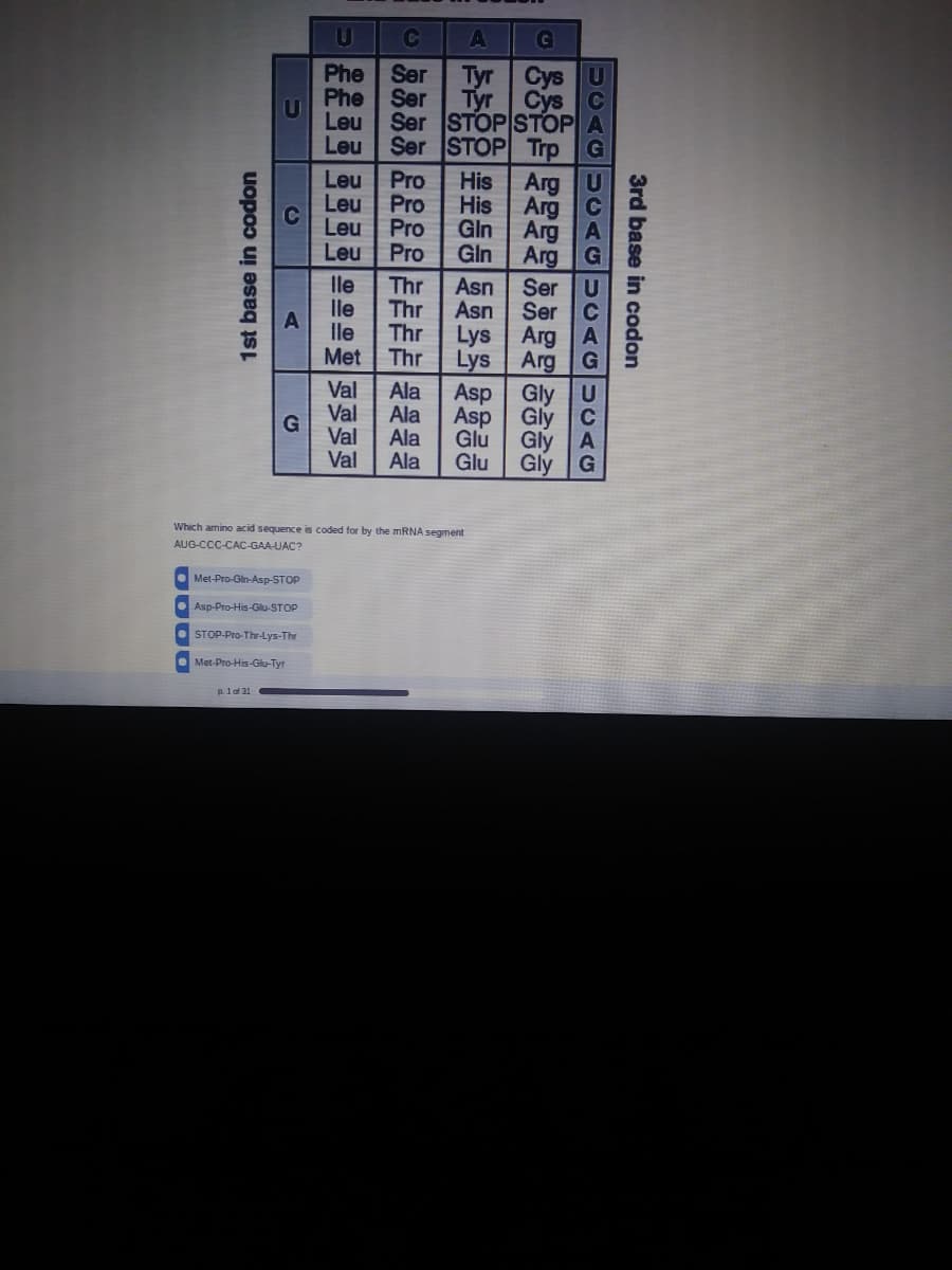 U
G
Tyr
Cys U
Tyr
Cys C
Phe Ser
Phe
U
Ser
Leu
Ser STOP STOP A
Leu
Ser STOP Trp
Leu
Leu
Leu
Leu
Pro
Pro
Pro
Pro
Arg
His
His
Arg
Gln
Arg
Gln
Arg
Ser
Ser
lle
Thr
Asn
U
lle
Thr
Asn
C
lle
Thr
Lys
Arg A
Arg G
Gly U
Gly C
Gly
Gly
Met Thr
Lys
Val
Ala
Ala
Ala
Ala
Asp
Val
G
Val
Asp
Glu
Glu
Val
Which amino acid sequence is coded for by the mRNA segment
AUG-CCC-CAC-GAA-UAC?
O Met-Pro-Gin-Asp-STOP
• Asp-Pro-His-Glu-STOP
• STOP-Pro-Thr-Lys-Thr
O Met-Pro-His-Glu-Tyr
p. 1of 31
1st base
codon
3rd base in codon
