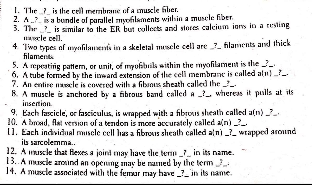 1. The ? is the cell membrane of a muscle fiber.
2. A_?_ is a bundle of parallel myofilaments within a muscle fiber.
3. The ? is similar to the ER but collects and stores calcium ions in a resting
muscle cell.
4. Two types of myofilaments in a skeletal muscle cell are _?_ filaments and thick
filaments.
5. A repeating pattern, or unit, of myofibrils within the myofilament is the __?__.
6. A tube formed by the inward extension of the cell membrane is called a(n) _?__.
7. An entire muscle is covered with a fibrous sheath called the _?__.
8. A muscle is anchored by a fibrous band called a _?_, whereas it pulls at its
insertion.
9. Each fascicle, or fasciculus, is wrapped with a fibrous sheath called a(n) _?_
10. A broad, flat version of a tendon is more accurately called a(n) __?__.
11. Each individual muscle cell has a fibrous sheath called a(n) _?_ wrapped around
its sarcolemma..
12. A muscle that flexes a joint may have the term _?_ in its name.
13.. A muscle around an opening may be named by the term _?__:
14. A muscle associated with the femur may have __?__ in its name.