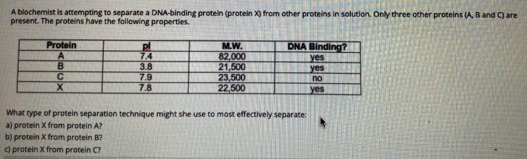 A biochemist is attempting to separate a DNA-binding protein (protein X) from other proteins in solutlon. Only three other proteins (A, B and C) are
present. The proteins have the following properties.
Protein
DNA Binding?
pl
7.4
3.8
7.9
7.8
M.W.
82,000
21,500
23,500
22,500
yes
yes
C
no
yes
What type of protein separation technique might she use to most effectively separate:
a) protein X from protein A?
b) protein X from protein B?
C) protein X from protein C?
