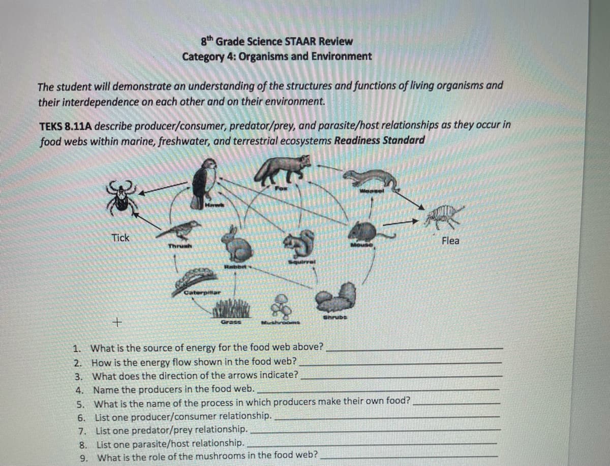 8th Grade Science STAAR Review
Category 4: Organisms and Environment
The student will demonstrate an understanding of the structures and functions of living organisms and
their interdependence on each other and on their environment.
TEKS 8.11A describe producer/consumer, predator/prey, and parasite/host relationships as they occur in
food webs within marine, freshwater, and terrestrial ecosystems Readiness Standard
For
Weasel
Havw
Tick
Flea
Thrush
Rabbrt
Caterpillar
Shrubs
Grass
Mushroos
1. What is the source of energy for the food web above?
2. How is the energy flow shown in the food web?
3. What does the direction of the arrows indicate?
4. Name the producers in the food web.
5. What is the name of the process in which producers make their own food?
6. List one producer/consumer relationship.
7. List one predator/prey relationship.
8. List one parasite/host relationship.
9. What is the role of the mushrooms in the food web?
