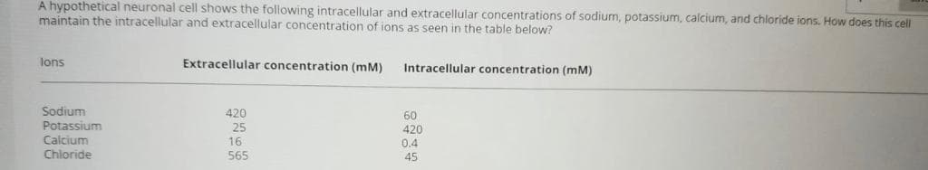 A hypothetical neuronal cell shows the following intracellular and extracellular concentrations of sodium, potassium, calcium, and chloride ions. How does this cell
maintain the intracellular and extracellular concentration of ions as seen in the table below?
lons
Extracellular concentration (mM)
Intracellular concentration (mM)
Sodium
Potassium
Calcium
420
25
16
60
420
0.4
Chloride
565
45
