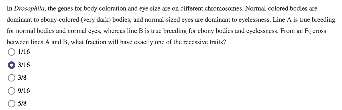 In Drosophila, the genes for body coloration and eye size are on different chromosomes. Normal-colored bodies are
dominant to ebony-colored (very dark) bodies, and normal-sized eyes are dominant to eyelessness. Line A is true breeding
for normal bodies and normal eyes, whereas line B is true breeding for ebony bodies and eyelessness. From an F2 cross
between lines A and B, what fraction will have exactly one of the recessive traits?
O 1/16
3/16
3/8
9/16
5/8
