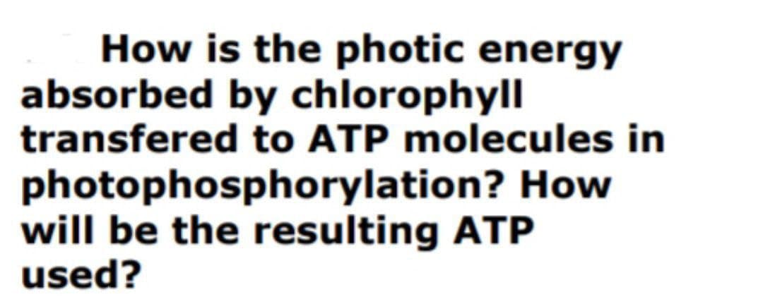 How is the photic energy
absorbed by chlorophyll
transfered to ATP molecules in
photophosphorylation? How
will be the resulting ATP
used?
