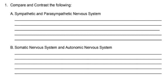 1. Compare and Contrast the following:
A. Sympathetic and Parasympathetic Nervous System
B. Somatic Nervous System and Autonomic Nervous System
