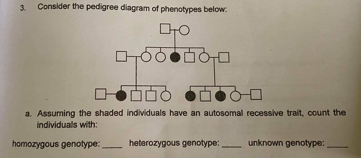 3.
Consider the pedigree diagram of phenotypes below:
a. Assuming the shaded individuals have an autosomal recessive trait, count the
individuals with:
homozygous genotype: heterozygous genotype:
unknown genotype:
