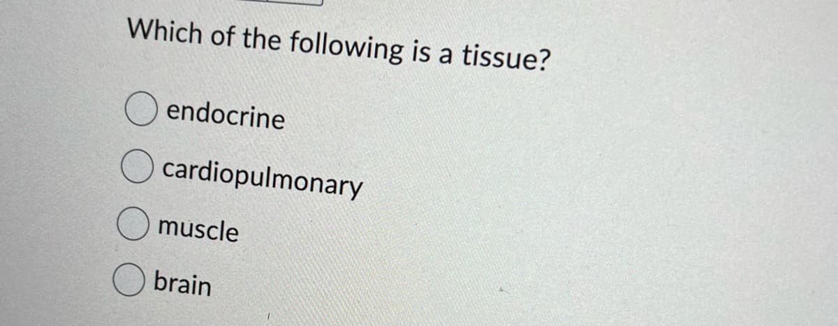 Which of the following is a tissue?
endocrine
cardiopulmonary
muscle
brain