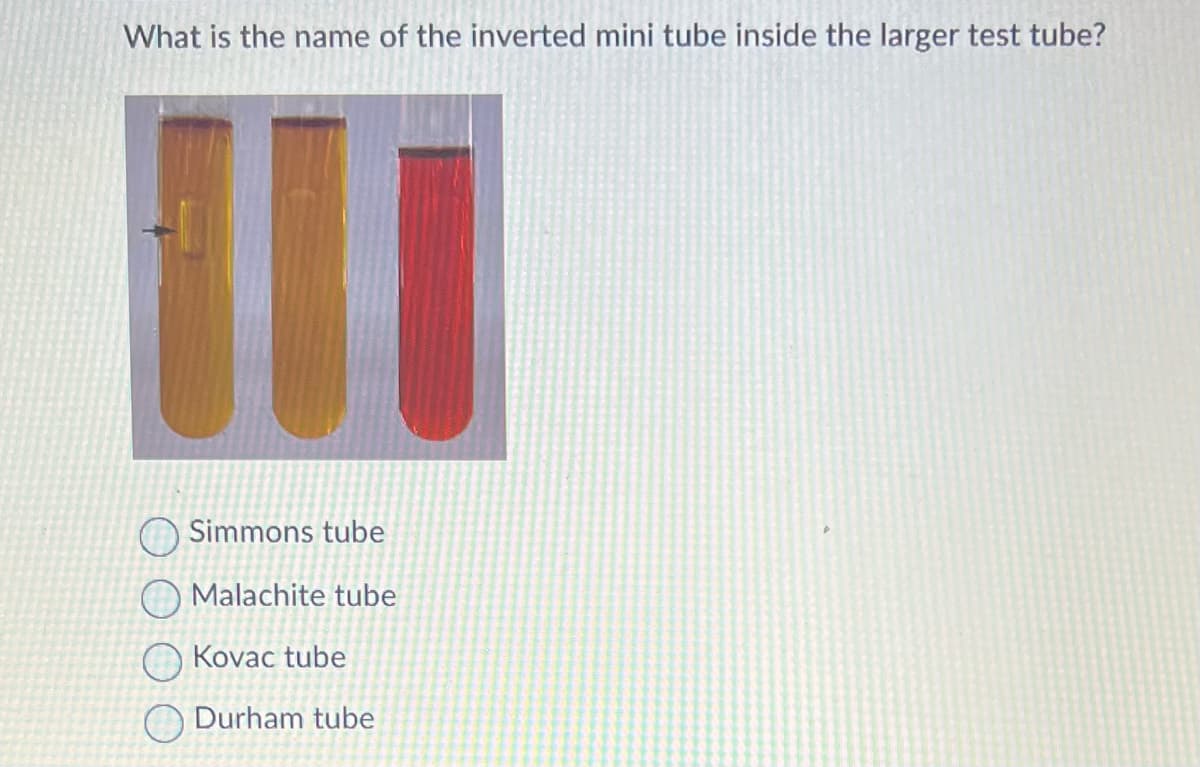 What is the name of the inverted mini tube inside the larger test tube?
Simmons tube
Malachite tube
Kovac tube
Durham tube