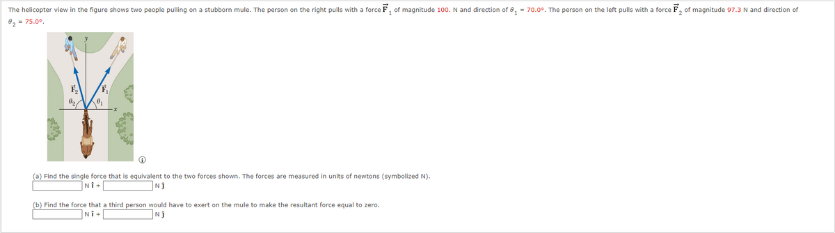 The helicopter view in the figure shows two people pulling on a stubborn mule. The person on the right pulls with a force F, of magnitude 100. N and direction of 0, = 70.0°. The person on the left pulls with a force F, of magnitude 97.3 N and direction of
82 = 75.0°.
F,
(a) Find the single force that is equivalent to the two forces shown. The forces are measured in units of newtons (symbolized N).
Nî +
(b) Find the force that a third person would have to exert on the mule to make the resultant force equal to zero.
NÎ +
Nĵ
