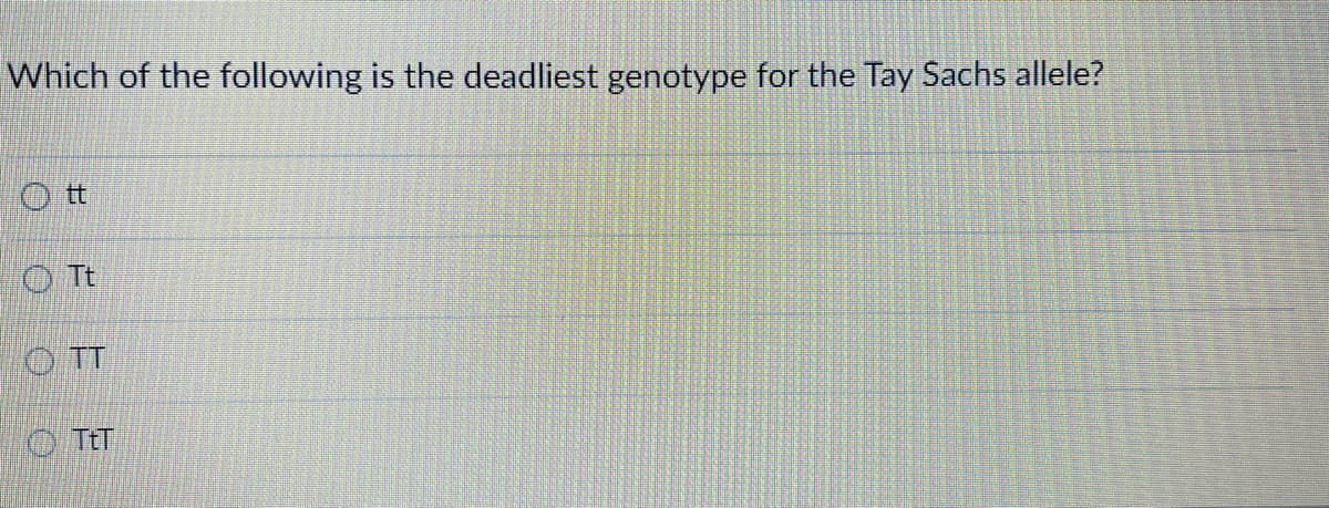 Which of the following is the deadliest genotype for the Tay Sachs allele?
O t
O Tt
O T
O T
