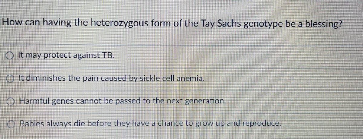 How can having the heterozygous form of the Tay Sachs genotype be a blessing?
O It may protect against TB.
O It diminishes the pain caused by sickle cell anemia.
O Harmful genes cannot be passed to the next generation.
O Babies always die before they have a chance to grow up and reproduce.
