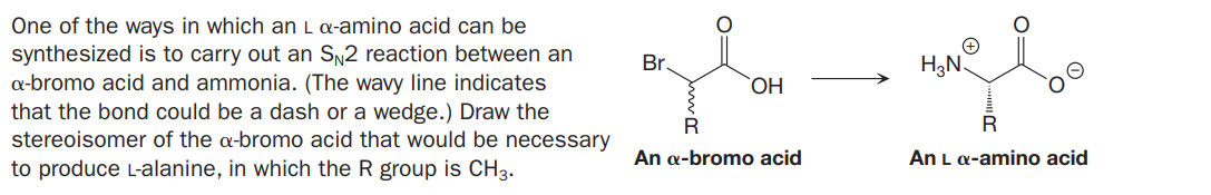 One of the ways in which an L a-amino acid can be
synthesized is to carry out an Sy2 reaction between an
a-bromo acid and ammonia. (The wavy line indicates
that the bond could be a dash or a wedge.) Draw the
stereoisomer of the a-bromo acid that would be necessary
Br.
H3N.
R
An a-bromo acid
An L a-amino acid
to produce L-alanine, in which the R group is CH3.
