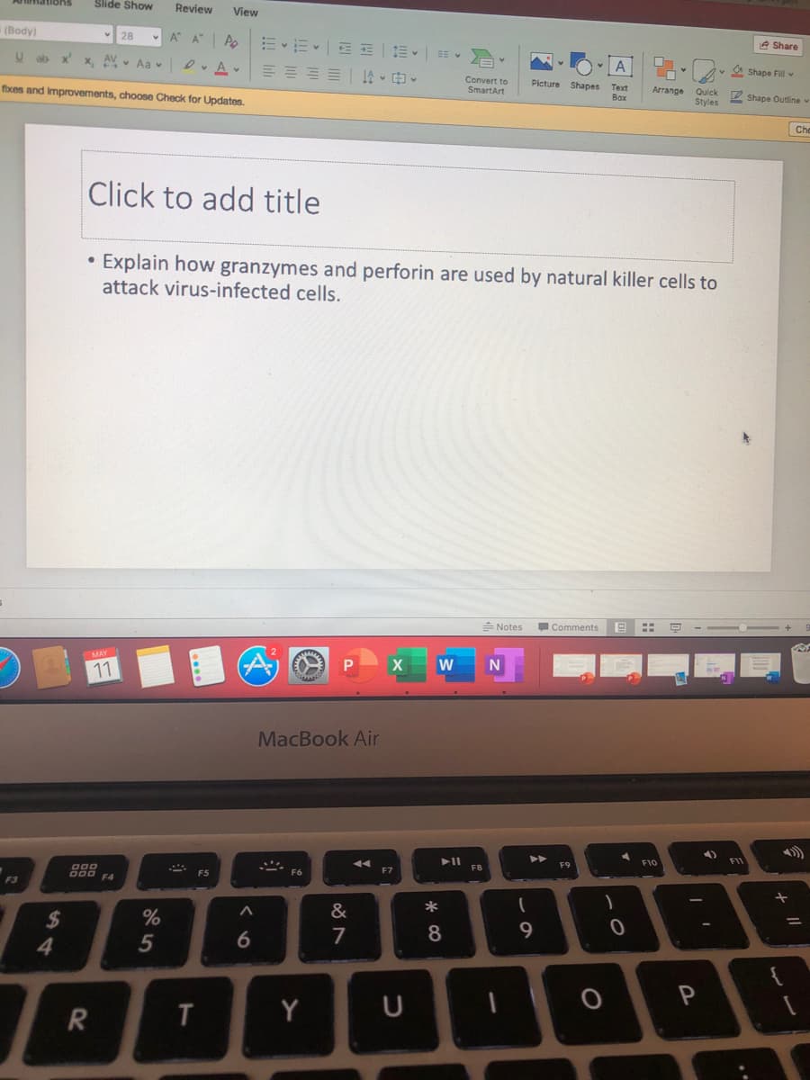Slide Show
Review
View
(Body)
28
A Ap
m<市<一和三| 三。| v
A Share
x, AV Aa v
D. A v
三 |姓。申。
A
v A Shape Fill v
Convert to
Picture
foxes and Improvements, choose Check for Updates.
Shapes
Text
Bax
Arrange Quick P Shape Outline v
Styles
SmartArt
Che
Click to add title
Explain how granzymes and perforin are used by natural killer cells to
attack virus-infected cells.
= Notes
Comments
::
MAY
11
MacBook Air
F10
FII
F9
D00
000 FA
F8
F5
F7
F3
&
%24
%3D
5
6
7
8.
P
R
T
Y
U
