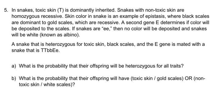 5. In snakes, toxic skin (T) is dominantly inherited. Snakes with non-toxic skin are
homozygous recessive. Skin color in snake is an example of epistasis, where black scales
are dominant to gold scales, which are recessive. A second gene E determines if color will
be deposited to the scales. If snakes are "ee," then no color will be deposited and snakes
will be white (known as albino).
A snake that is heterozygous for toxic skin, black scales, and the E gene is mated with a
snake that is TTbbEe.
a) What is the probability that their offspring will be heterozygous for all traits?
b) What is the probability that their offspring will have (toxic skin / gold scales) OR (non-
toxic skin / white scales)?
