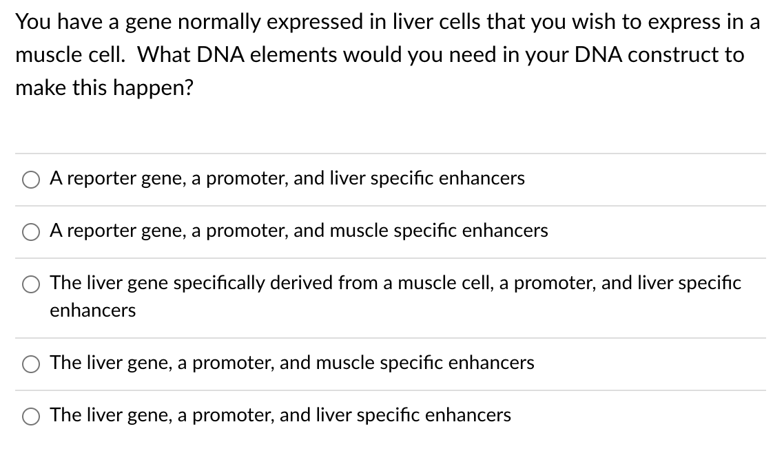 You have a gene normally expressed in liver cells that you wish to express in a
muscle cell. What DNA elements would you need in your DNA construct to
make this happen?
O A reporter gene, a promoter, and liver specific enhancers
A reporter gene, a promoter, and muscle specific enhancers
The liver gene specifically derived from a muscle cell, a promoter, and liver specific
enhancers
O The liver gene, a promoter, and muscle specific enhancers
The liver gene, a promoter, and liver specific enhancers
