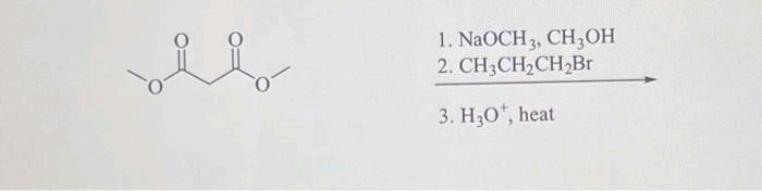 1. NaOCH 3, CH3OH
CH3CH₂CH₂Br
2.
3. H30, heat
