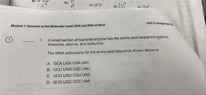 c) (by
e (2v
Module 7: Genetics at the Molecular Level: DNA and RNA at Work
Unit C: AssignmensT
7.
A small section of bacterial enzyme has the amino acid sequence arginine,
-
threonine, alanine, and isoleucine.
The TRNA anticodons for the amino acid sequence shown above is
A. GCA UGA CGA UAC
B. UCU UGG CGC UAU
C. UCG UGU CGU UAG
D. GCG UGC CCC UAA
