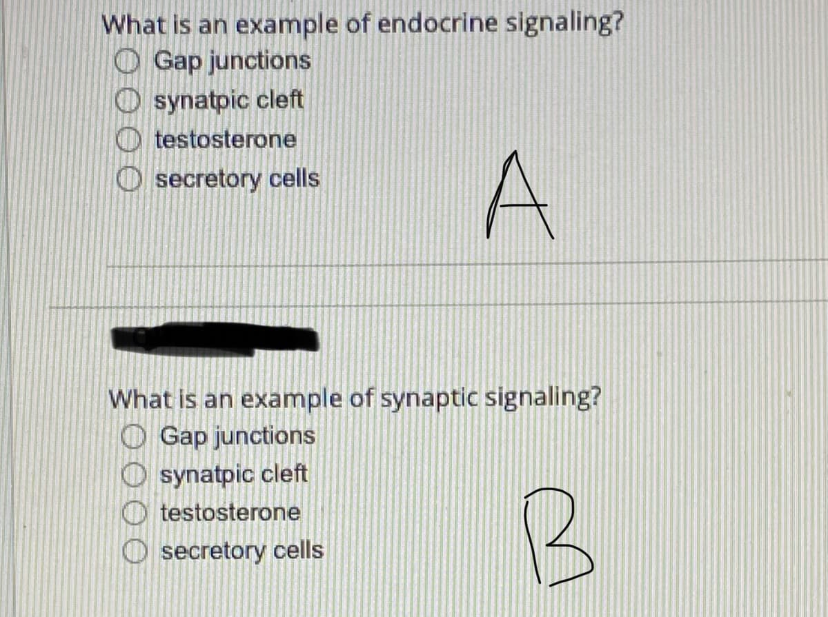 What is an example of endocrine signaling?
O Gap junctions
O synatpic cleft
O testosterone
O secretory cells
What is an example of synaptic signaling?
O Gap junctions
O synatpic cleft
O testosterone
O secretory cells
