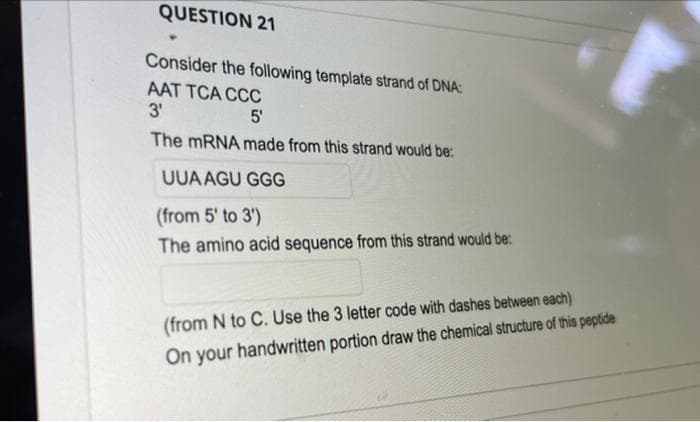 QUESTION 21
Consider the following template strand of DNA:
AAT TCA CCC
3'
5'
The mRNA made from this strand would be:
UUA AGU GGG
(from 5' to 3')
The amino acid sequence from this strand would be:
(from N to C. Use the 3 letter code with dashes between each)
On your handwritten portion draw the chemical structure of this peptide