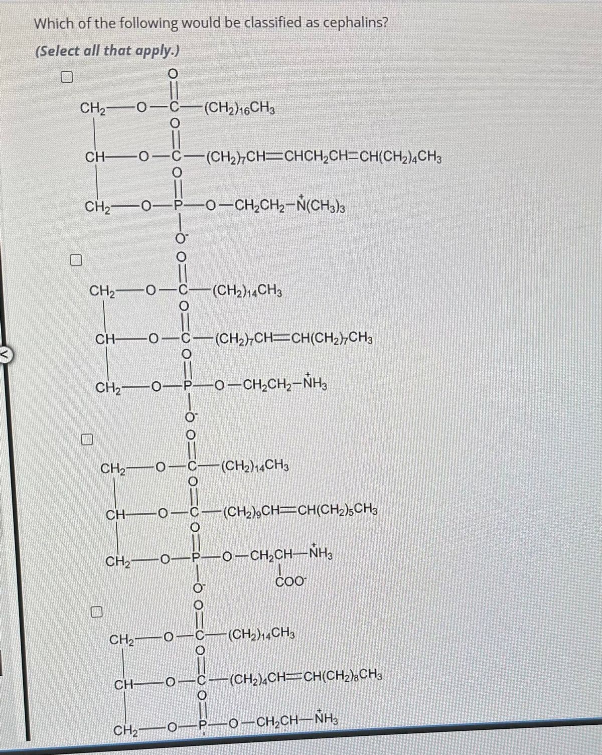 Which of the following would be classified as cephalins?
(Select all that apply.)
0
O
CH₂-O-C
CHO-C— (CH2)CH=CHCH,CH=CH(CH2) CH3
CH,OPO—CH,CH2-N(CH3)3
CH₂0-C-(CH₂) 14CH3
CH 0- C(CH₂)7CH-CH(CH₂)7CH3
CH₂0- -P.
CH,O
(CH₂) 16CH3
CH₂
CH-
0 0 0
CH O C(CH₂)CH-CH(CH₂)5CH3
CH₂
CH₂ OPO-CH,CH–NH3
0
O—CH,CH,–NH,
CO O
(CH2)14CH3
COO
(CH₂) 14CH3
C(CH₂)2CH=CH(CH₂)3CH3
0 P-O-CH₂CH-NH3