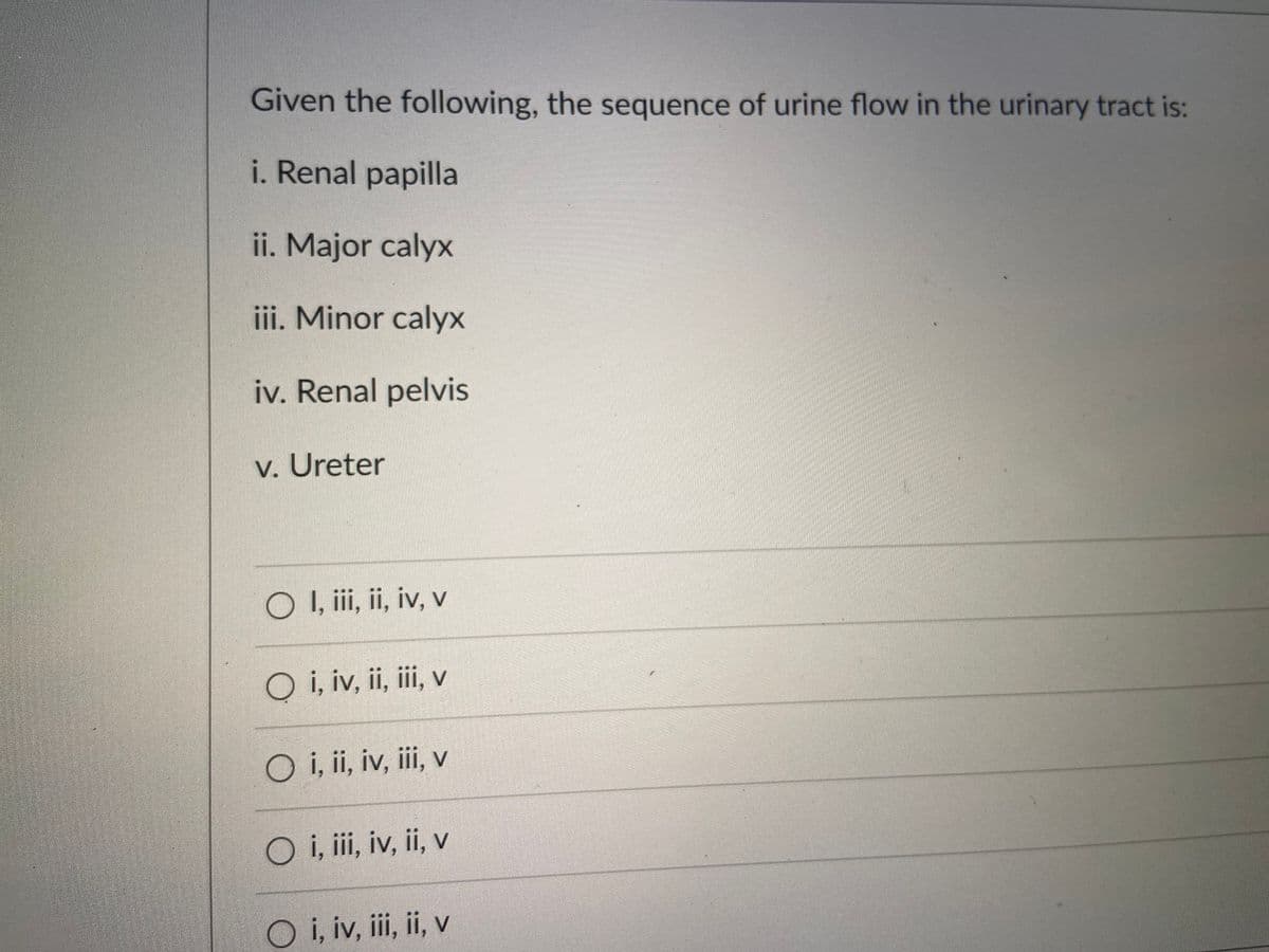Given the following, the sequence of urine flow in the urinary tract is:
i. Renal papilla
ii. Major calyx
iii. Minor calyx
iv. Renal pelvis
v. Ureter
O I, iii, ii, iv, v
Oi, iv, ii, iii, v
O i, ii, iv, iii, v
O i, iii, iv, ii, v
Oi, iv, iii, ii, v