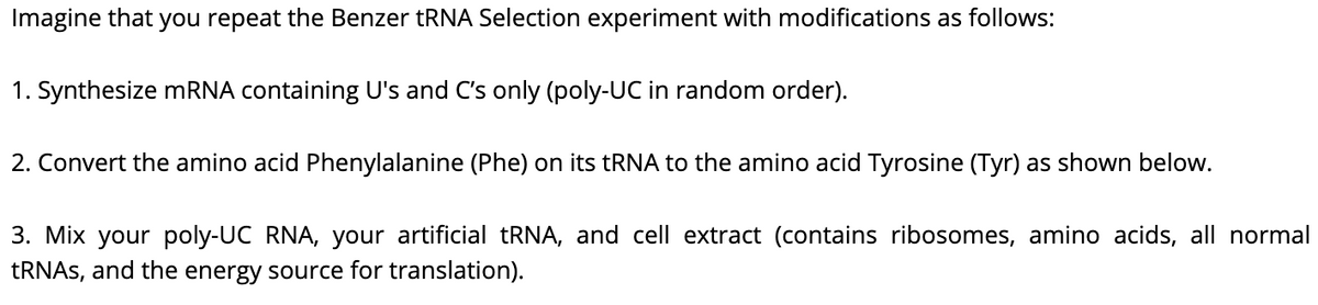 Imagine that you repeat the Benzer tRNA Selection experiment with modifications as follows:
1. Synthesize mRNA containing U's and C's only (poly-UC in random order).
2. Convert the amino acid Phenylalanine (Phe) on its tRNA to the amino acid Tyrosine (Tyr) as shown below.
3. Mix your poly-UC RNA, your artificial TRNA, and cell extract (contains ribosomes, amino acids, all normal
TRNAS, and the energy source for translation).
