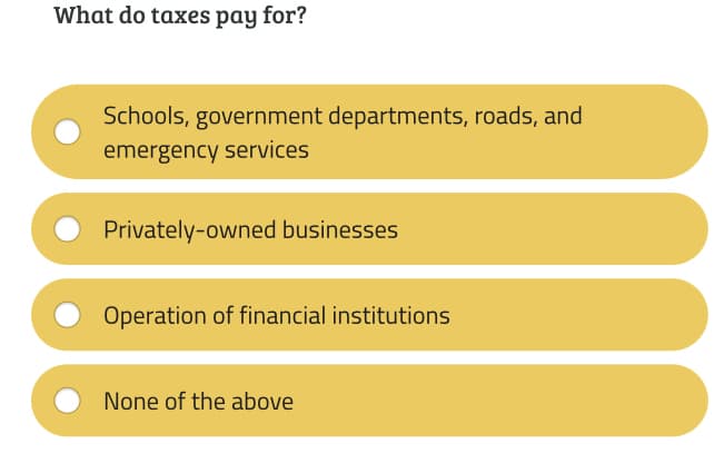 What do taxes pay for?
Schools, government departments, roads, and
emergency services
Privately-owned businesses
Operation of financial institutions
None of the above
