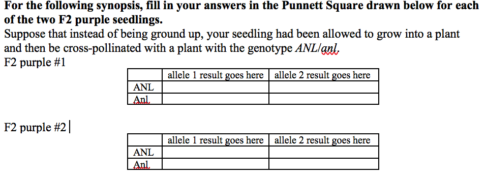 For the following synopsis, fill in your answers in the Punnett Square drawn below for each
of the two F2 purple seedlings.
Suppose that instead of being ground up, your seedling had been allowed to grow into a plant
and then be cross-pollinated with a plant with the genotype ANL/gnl,
F2 purple #1
allele 1 result goes here | allele 2 result goes here
ANL
| Anl,
F2 purple #2|
allele 1 result goes here | allele 2 result goes here
ANL
Anl,
