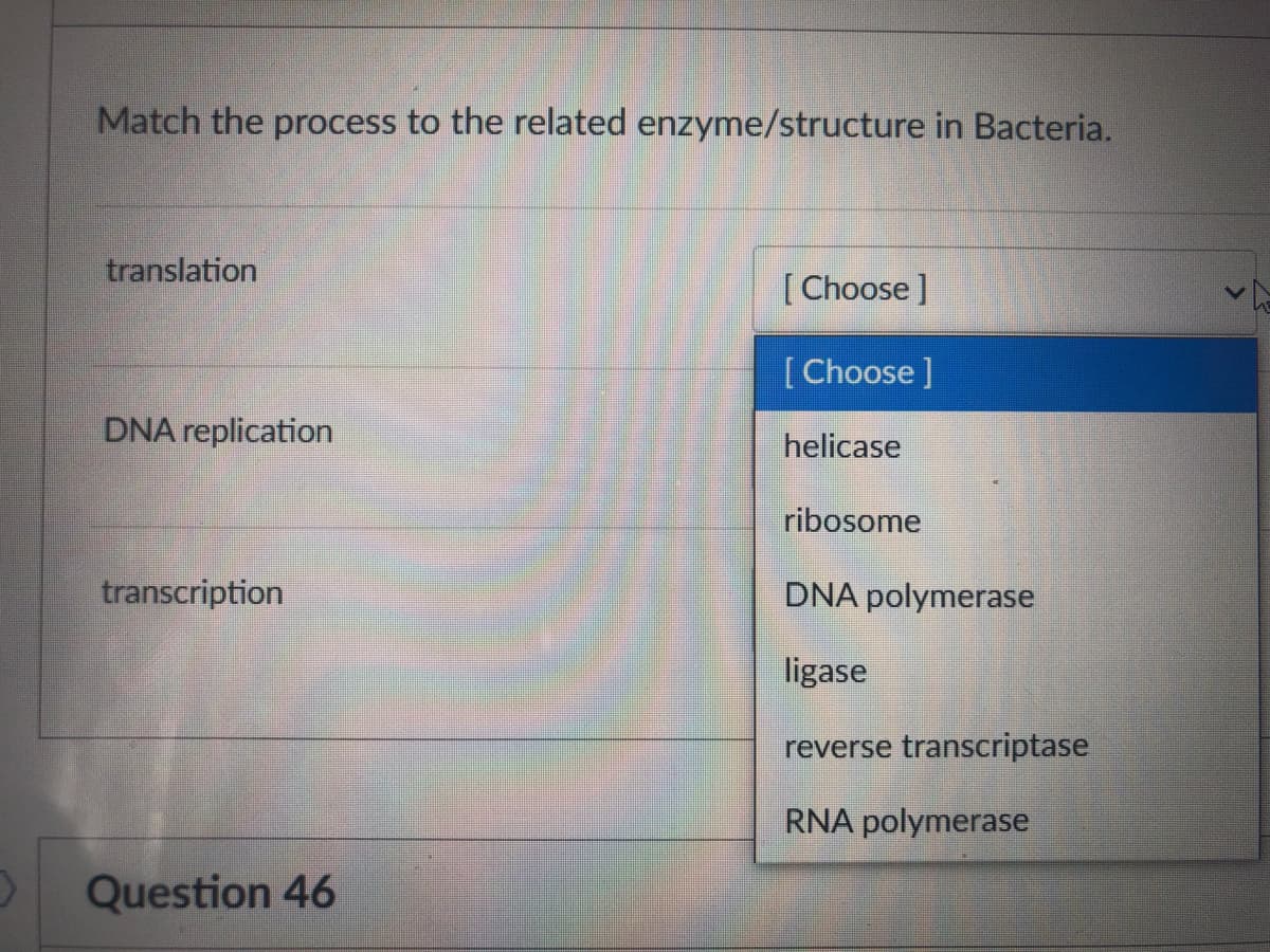 Match the process to the related enzyme/structure in Bacteria.
translation
[Choose ]
[Choose ]
DNA replication
helicase
ribosome
transcription
DNA polymerase
ligase
reverse transcriptase
RNA polymerase
Question 46
