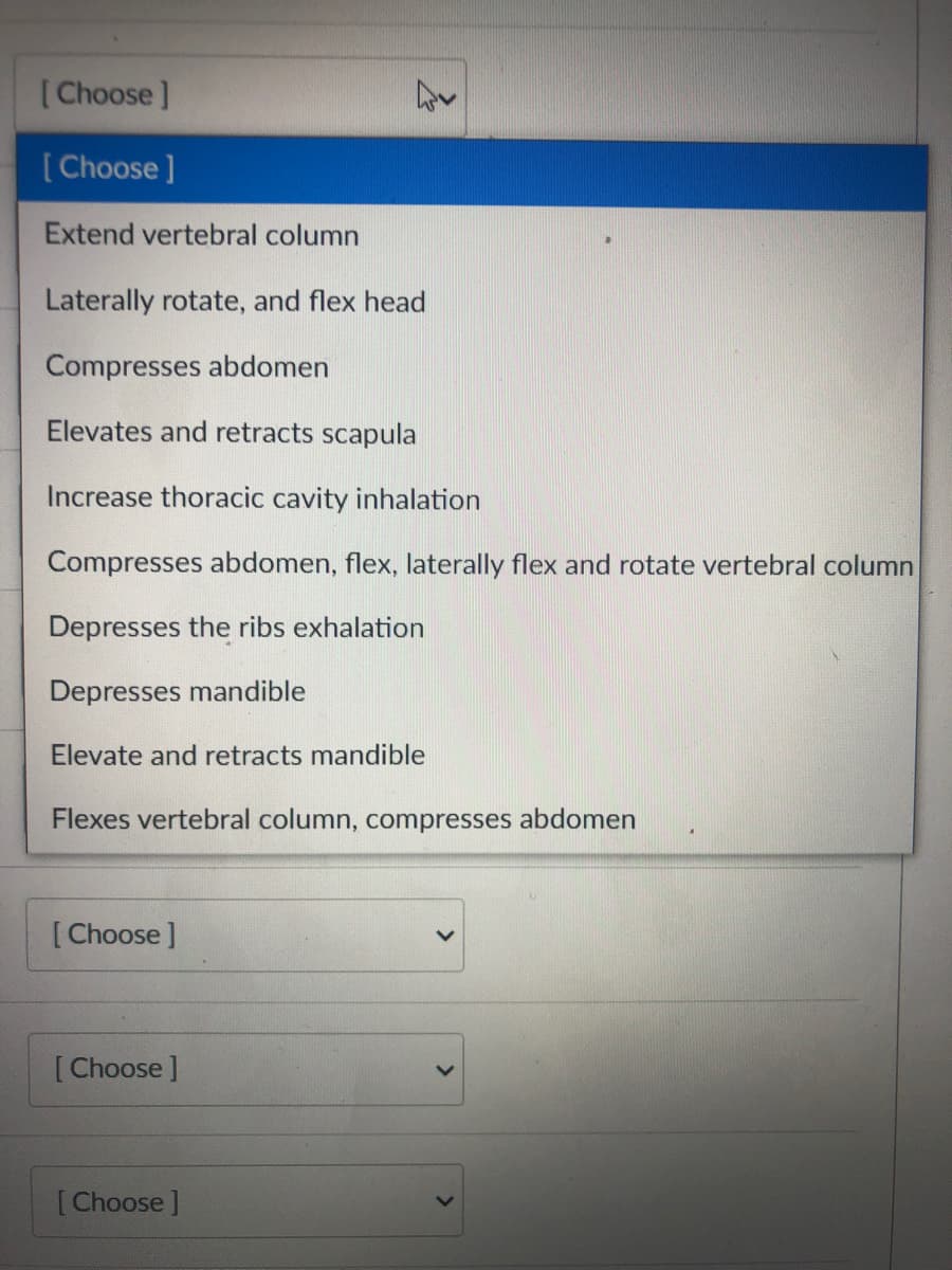 (Choose]
[ Choose ]
Extend vertebral column
Laterally rotate, and flex head
Compresses abdomen
Elevates and retracts scapula
Increase thoracic cavity inhalation
Compresses abdomen, flex, laterally flex and rotate vertebral column
Depresses the ribs exhalation
Depresses mandible
Elevate and retracts mandible
Flexes vertebral column, compresses abdomen
[ Choose]
[Choose ]
[Choose ]
