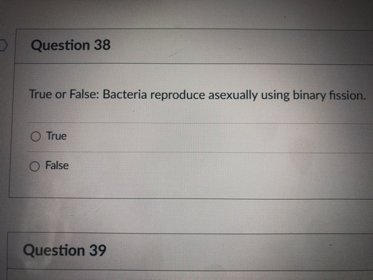 Question 38
True or False: Bacteria reproduce asexually using binary fission.
O True
O False
Question 39
